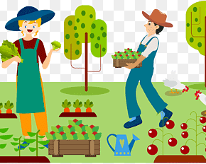 Petani Sayur ke Seniman Daun_alineaku